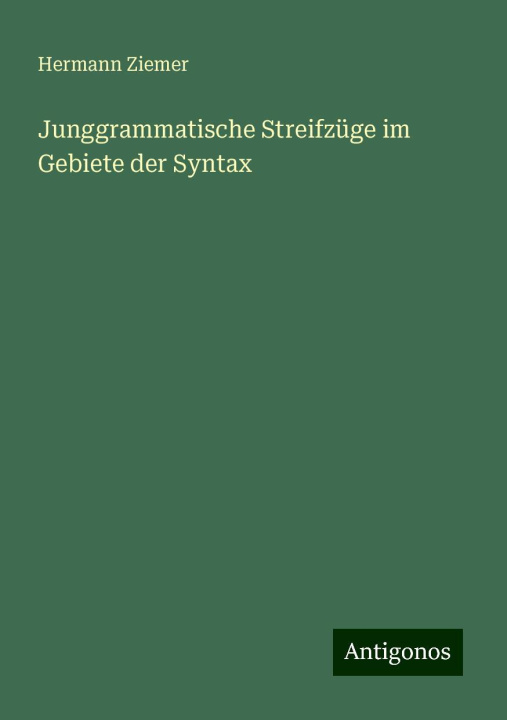 Libro Junggrammatische Streifzüge im Gebiete der Syntax 