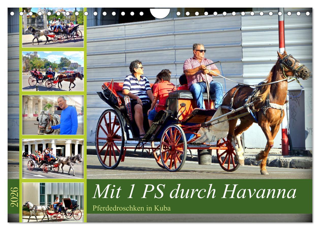 Kalendář/Diář Mit 1 PS durch Havanna - Pferdedroschken in Kuba (Wandkalender 2026 DIN A4 quer), CALVENDO Monatskalender Calvendo