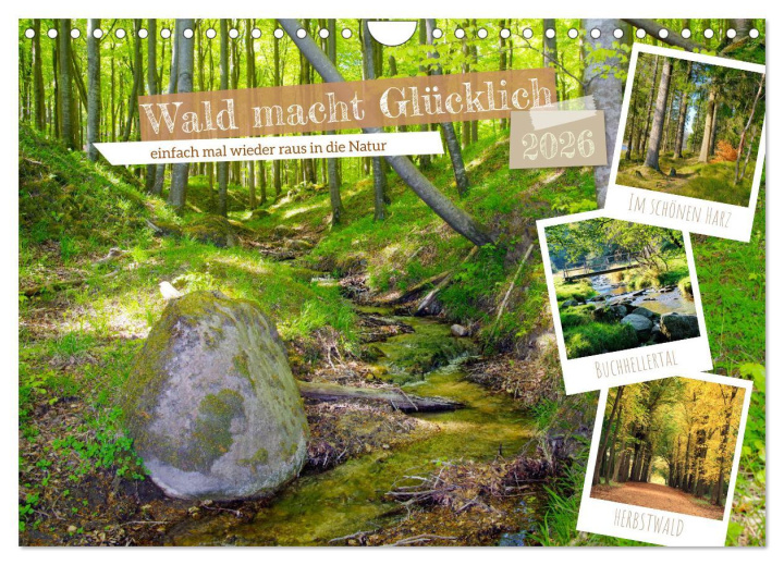 Kalendár/Diár Wald macht glücklich (Wandkalender 2026 DIN A4 quer), CALVENDO Monatskalender Calvendo