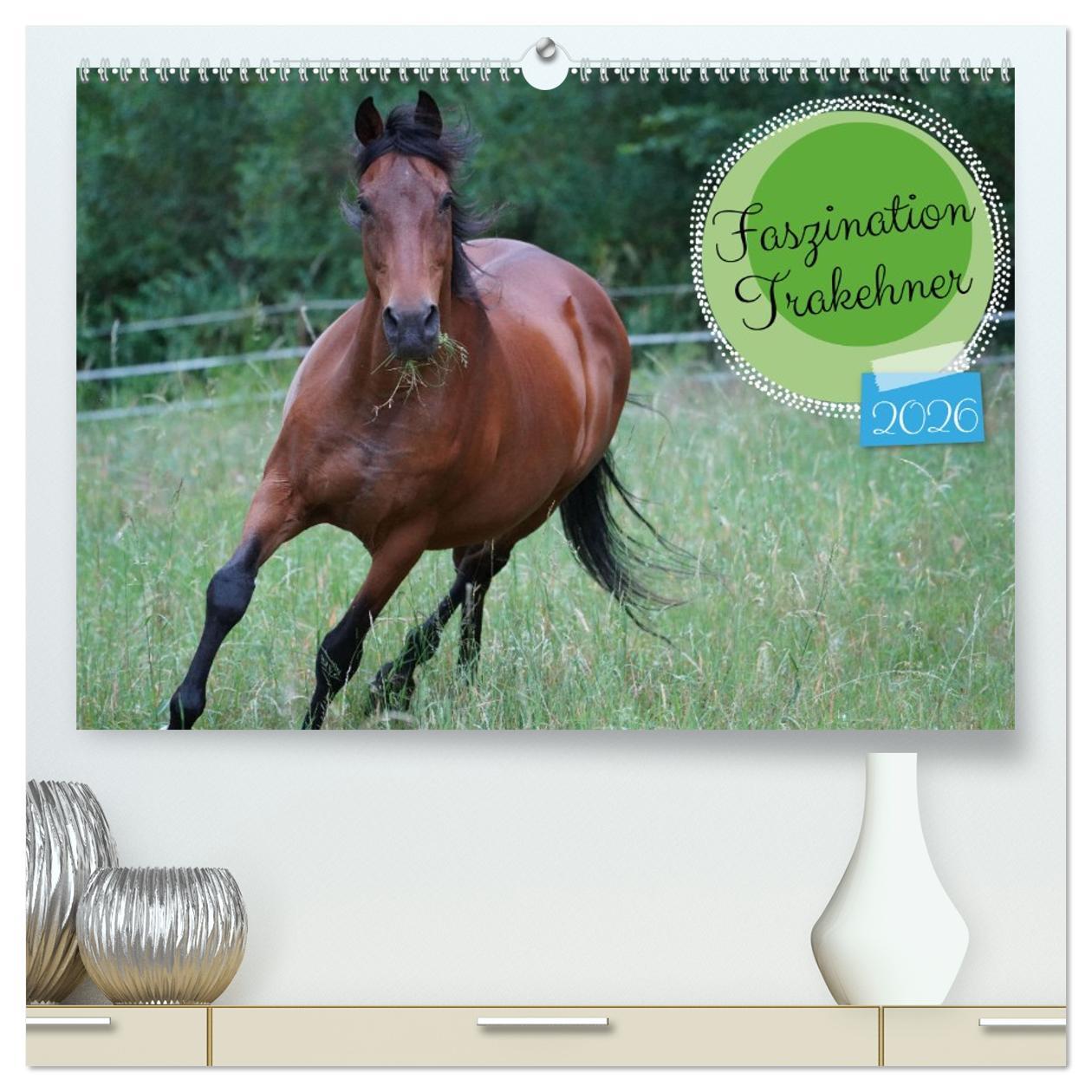 Kalendář/Diář Faszination Trakehner (hochwertiger Premium Wandkalender 2026 DIN A2 quer), Kunstdruck in Hochglanz Calvendo