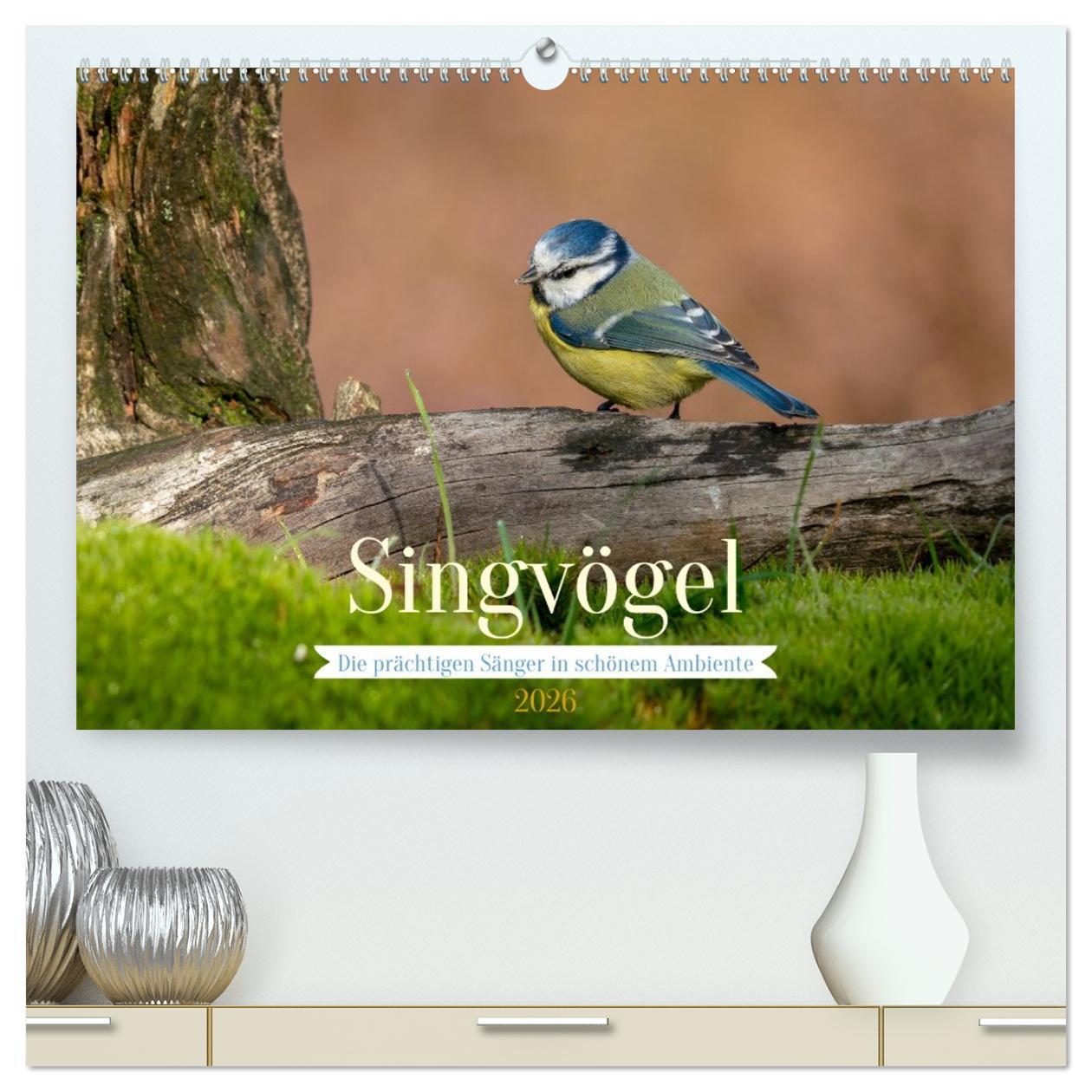 Kalendář/Diář SINGVÖGEL - Die prächtigen Sänger in schönem Ambiente (hochwertiger Premium Wandkalender 2026 DIN A2 quer), Kunstdruck in Hochglanz Calvendo