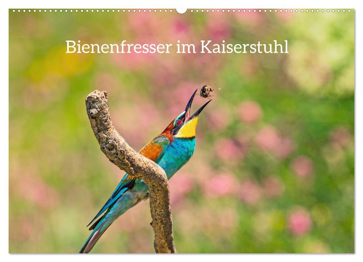Kalendář/Diář Bienenfresser im Kaiserstuhl (Wandkalender 2026 DIN A2 quer), CALVENDO Monatskalender Calvendo