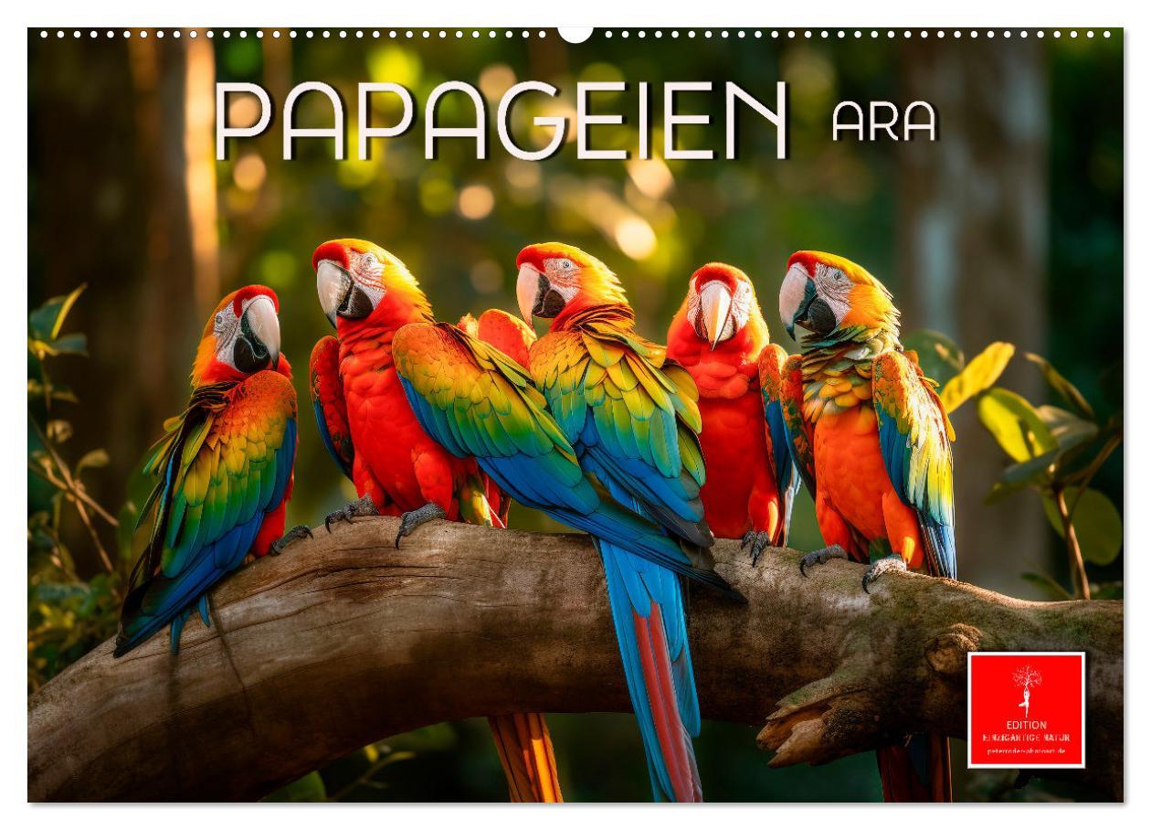 Kalendář/Diář Papageien - Ara (Wandkalender 2026 DIN A2 quer), CALVENDO Monatskalender Calvendo