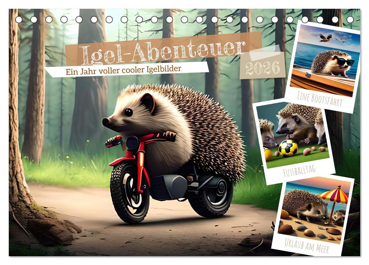 Kalendár/Diár Igel-Abenteuer (Tischkalender 2026 DIN A5 quer), CALVENDO Monatskalender Calvendo