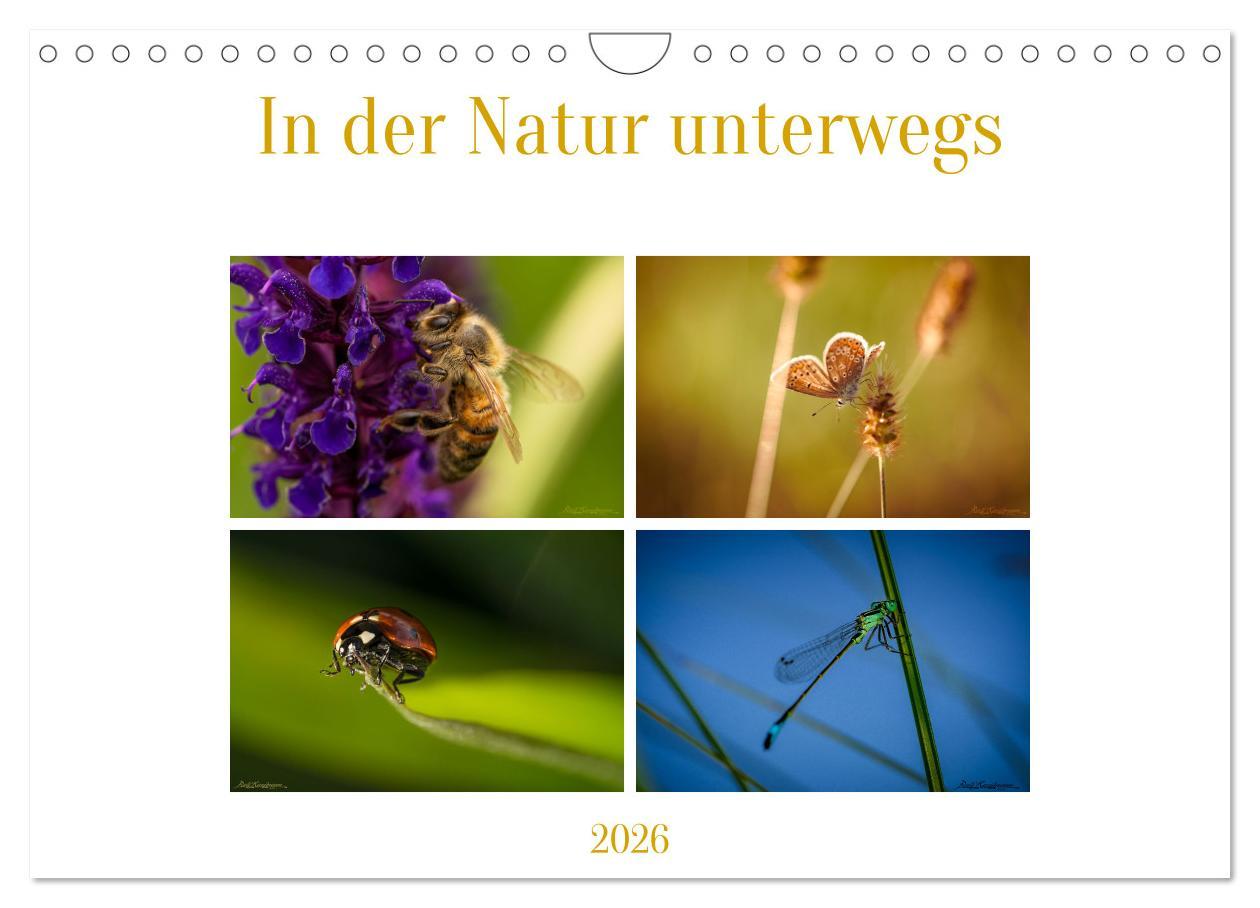 Kalendář/Diář In der Natur unterwegs (Wandkalender 2026 DIN A4 quer), CALVENDO Monatskalender Calvendo