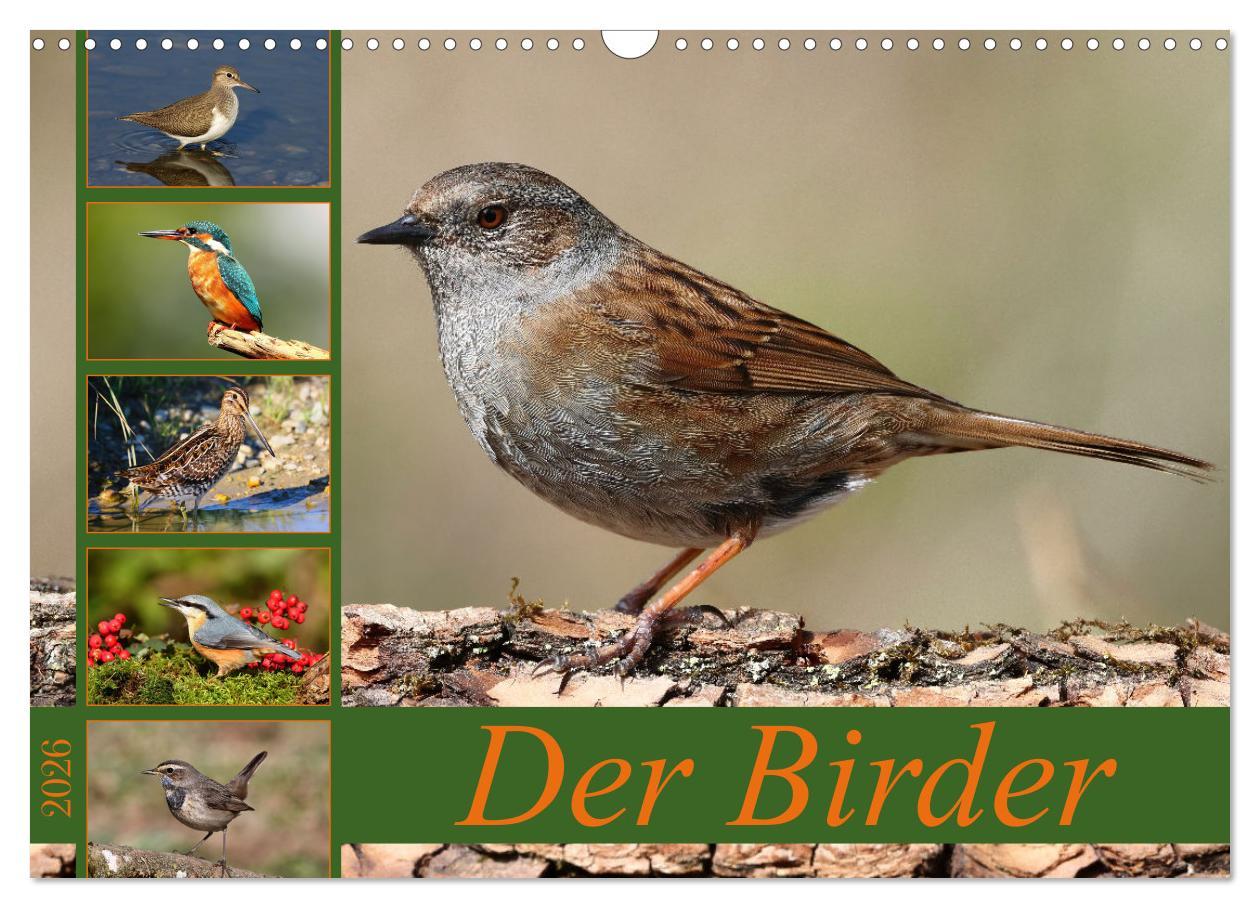 Kalendář/Diář Der Birder (Wandkalender 2026 DIN A3 quer), CALVENDO Monatskalender Calvendo