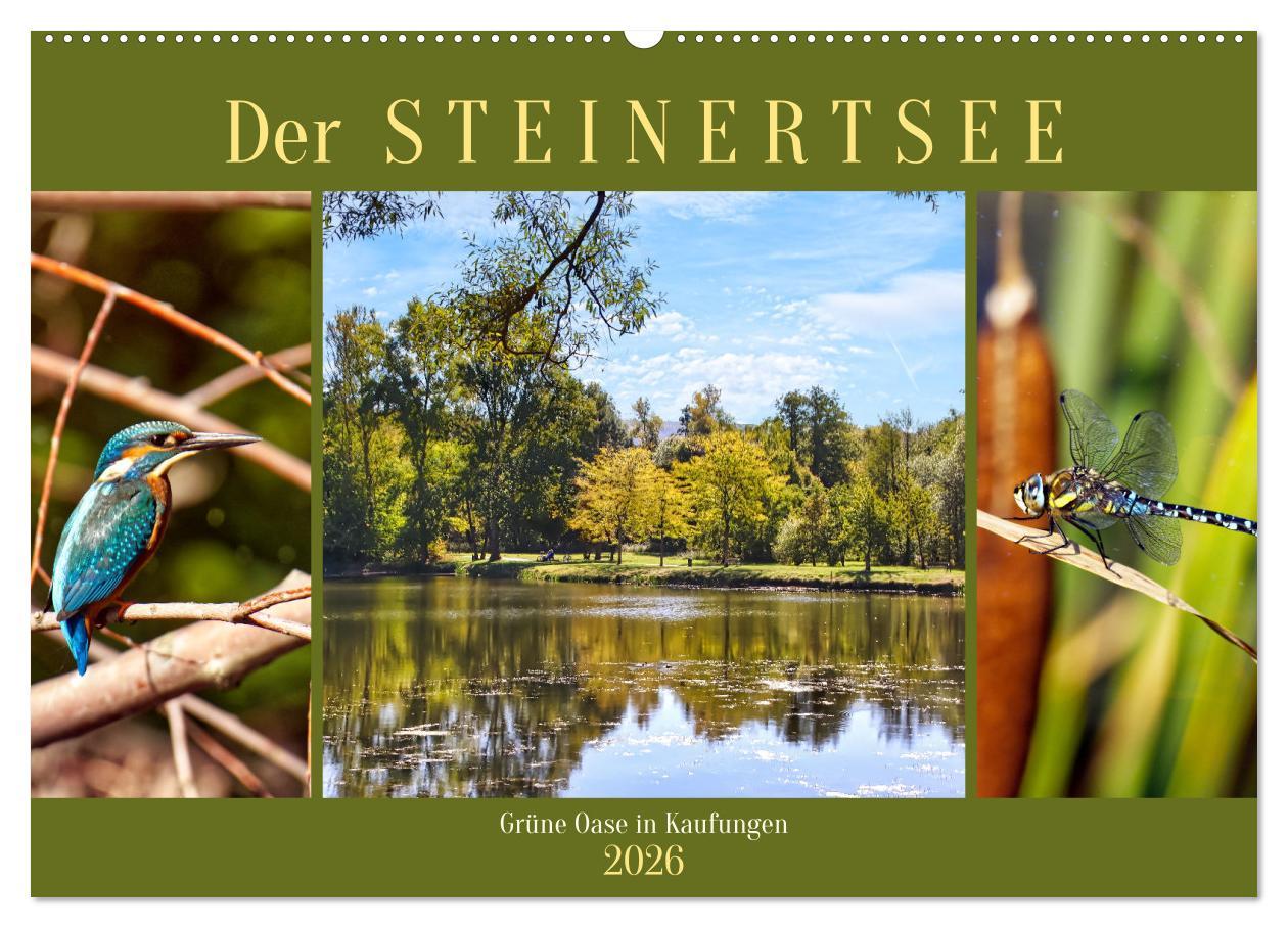 Kalendář/Diář Der Steinertsee (Wandkalender 2026 DIN A2 quer), CALVENDO Monatskalender Calvendo