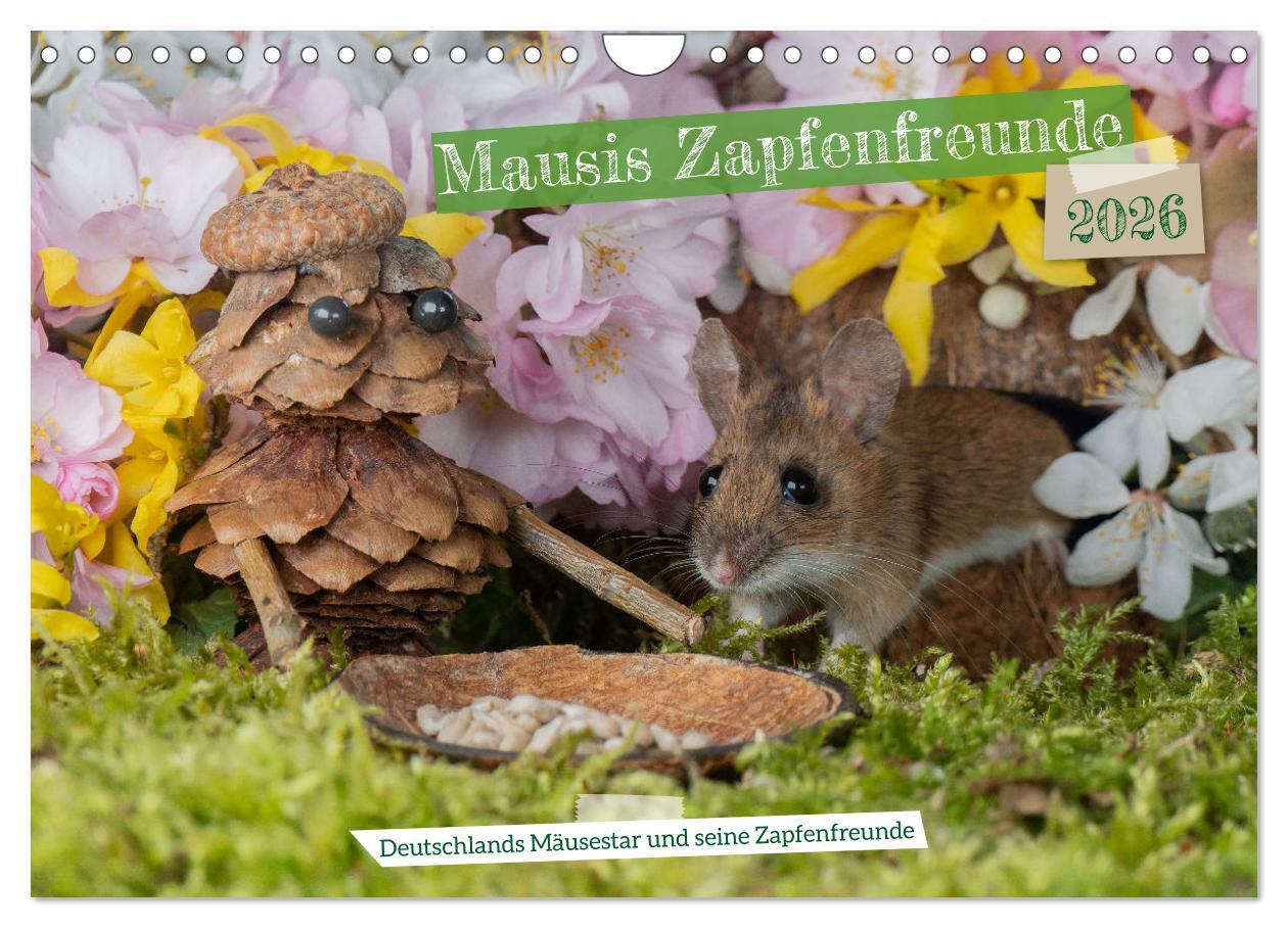 Kalendár/Diár Mausis Zapfenfreunde (Wandkalender 2026 DIN A4 quer), CALVENDO Monatskalender Calvendo