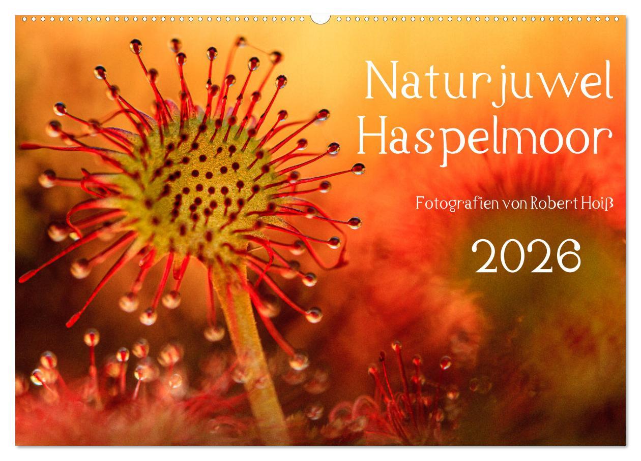 Kalendár/Diár Naturjuwel Haspelmoor (Wandkalender 2026 DIN A2 quer), CALVENDO Monatskalender Calvendo