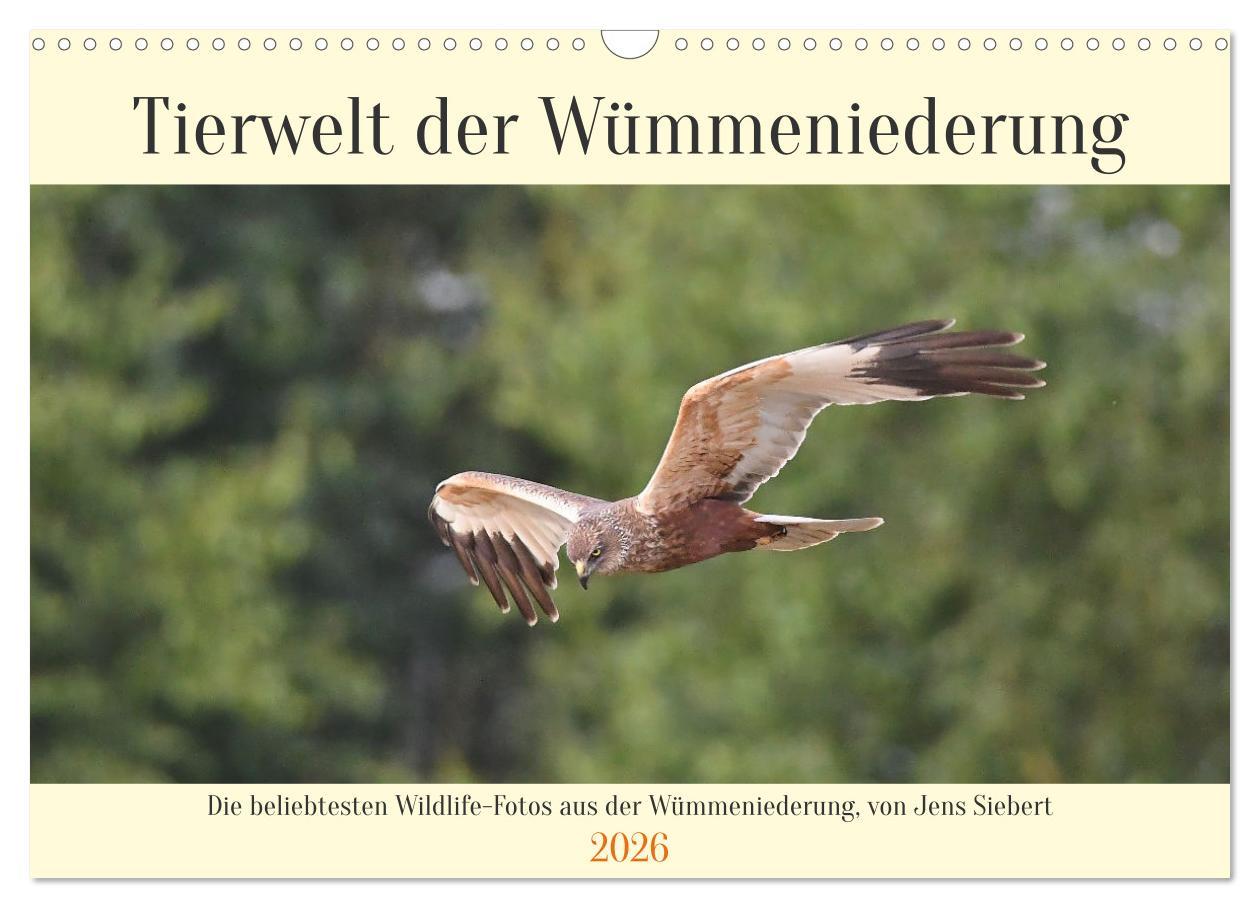 Kalendář/Diář Tierwelt der Wümmeniederung (Wandkalender 2026 DIN A3 quer), CALVENDO Monatskalender Calvendo