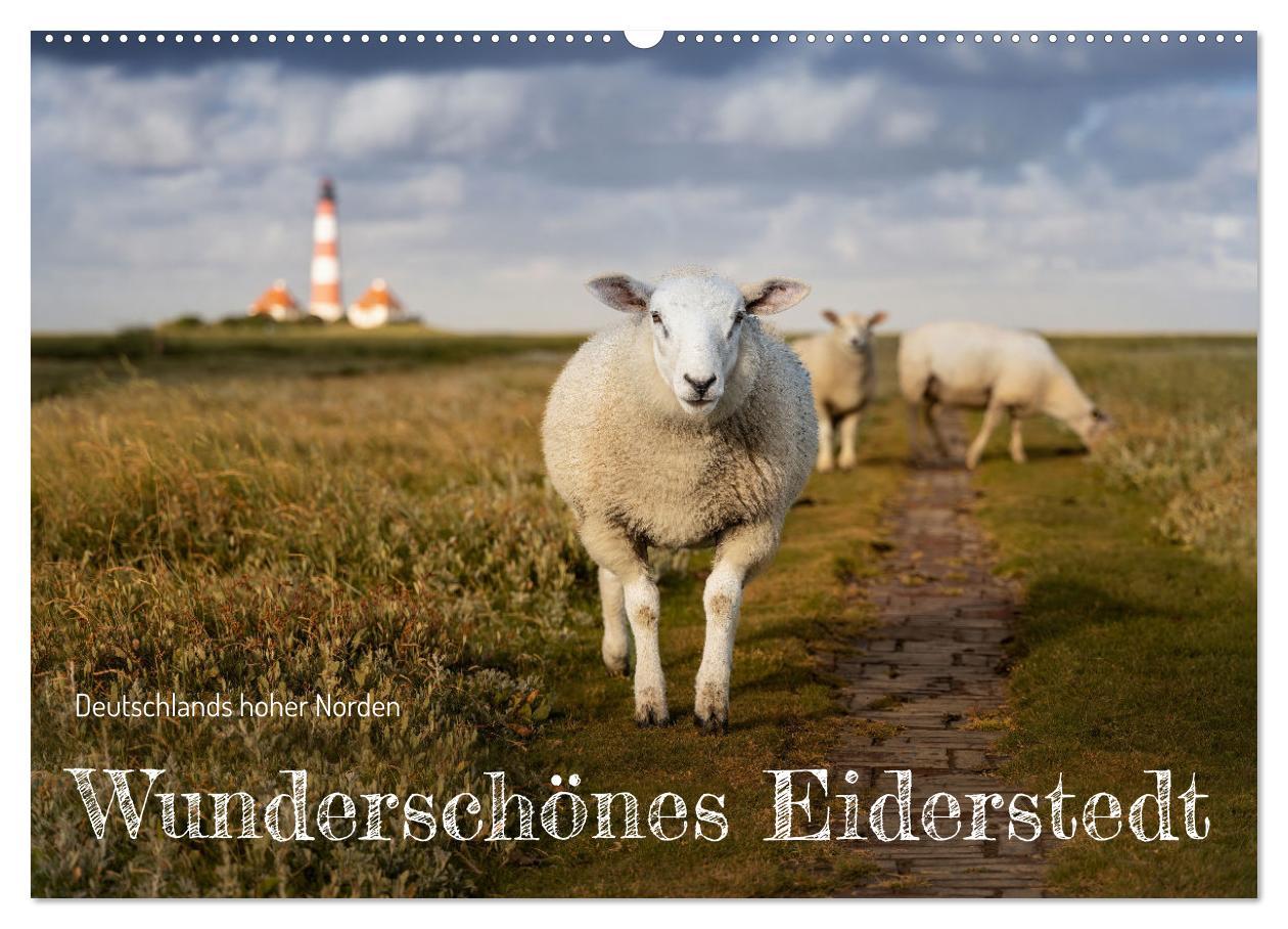 Calendario/Diario Wunderschönes Eiderstedt (Wandkalender 2026 DIN A2 quer), CALVENDO Monatskalender Calvendo