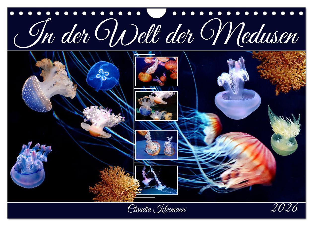 Kalendář/Diář In der Welt der Medusen (Wandkalender 2026 DIN A4 quer), CALVENDO Monatskalender Calvendo