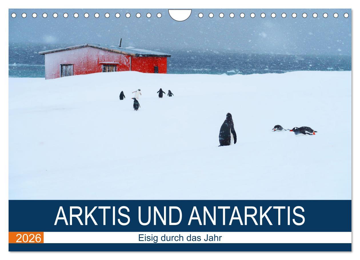 Kalendár/Diár Arktis und Antarktis - Eisig durch das Jahr (Wandkalender 2026 DIN A4 quer), CALVENDO Monatskalender Calvendo