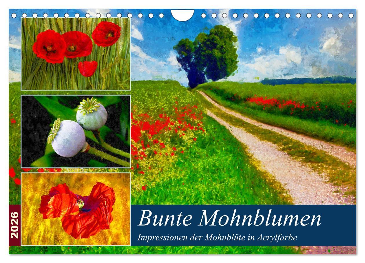 Kalendář/Diář Bunte Mohnblumen - Impressionen der Mohnblüte in Acrylfarbe (Wandkalender 2026 DIN A4 quer), CALVENDO Monatskalender Calvendo