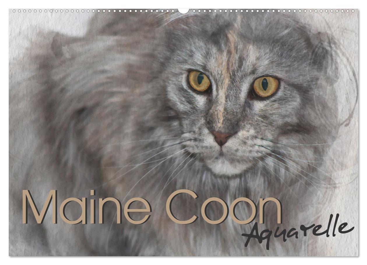 Kalendář/Diář Maine Coon Aquarelle (Wandkalender 2026 DIN A2 quer), CALVENDO Monatskalender Calvendo
