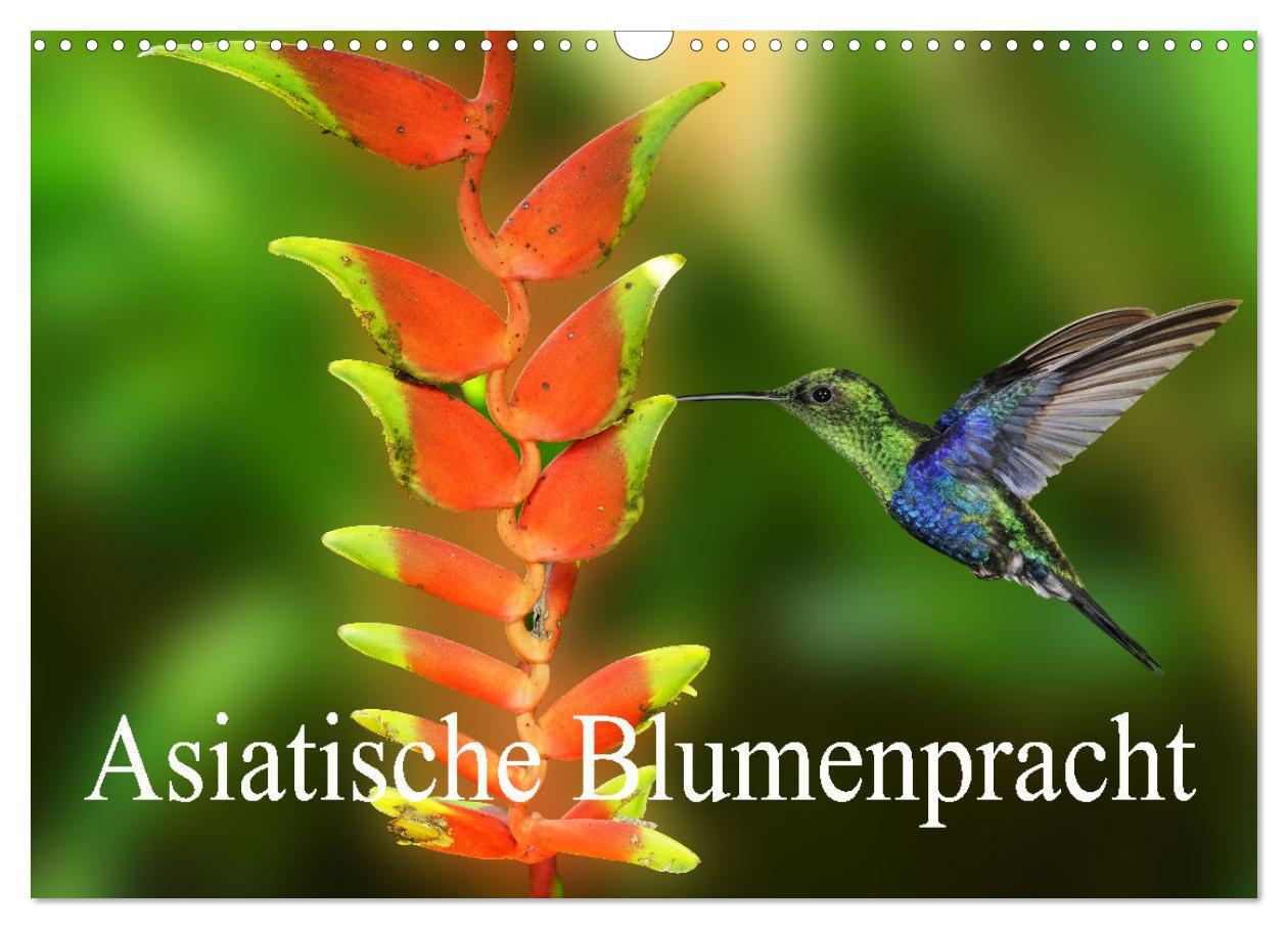 Kalender/Terminbuch Asiatische Blumenpracht (Wandkalender 2026 DIN A3 quer), CALVENDO Monatskalender Calvendo