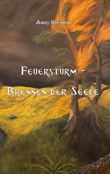 Knjiga Feuersturm 