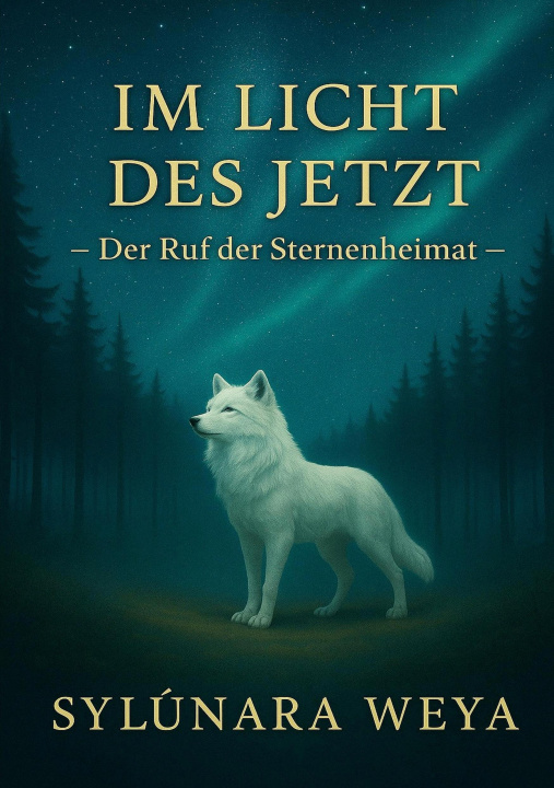Libro Im Licht des Jetzt - Der Ruf der Sternenheimat 