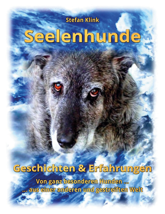 Kniha Seelenhunde Stefan Klink