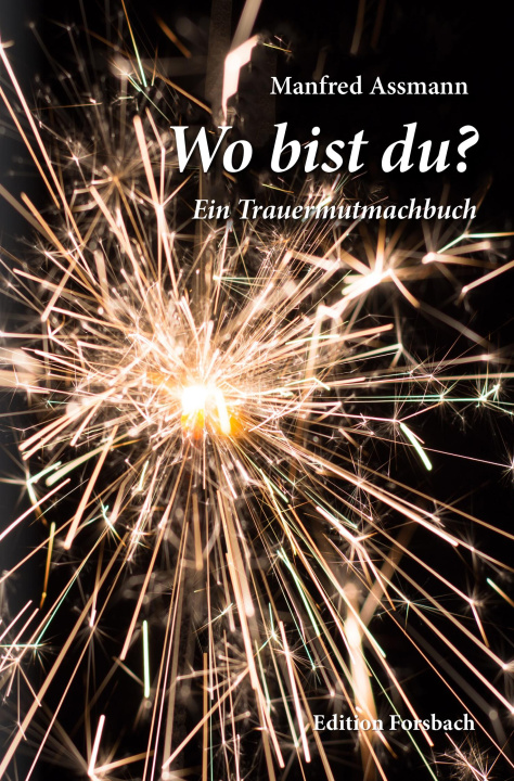 Kniha Wo bist du? Manfred Aßmann