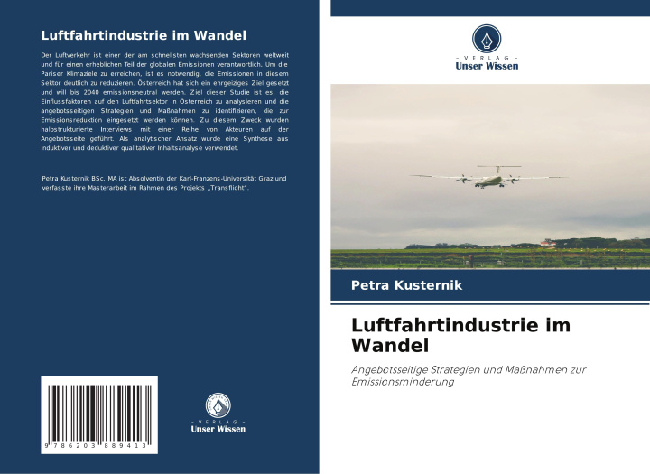 Kniha Luftfahrtindustrie im Wandel Petra Kusternik