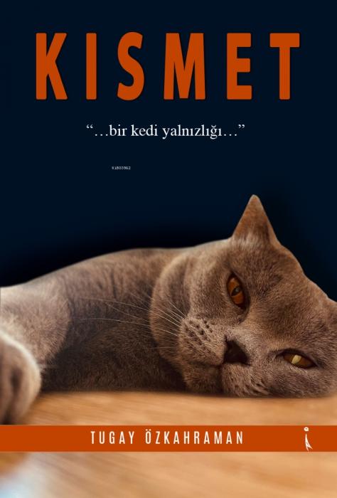 Kniha Kismet 