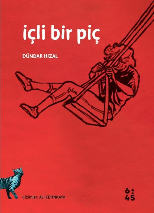 Kniha Icli Bir Pic 