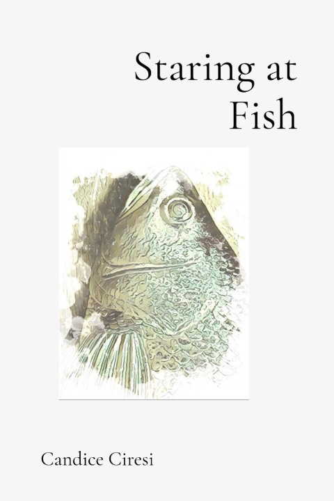 Kniha Staring at Fish 
