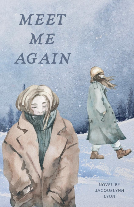 Kniha Meet Me Again 