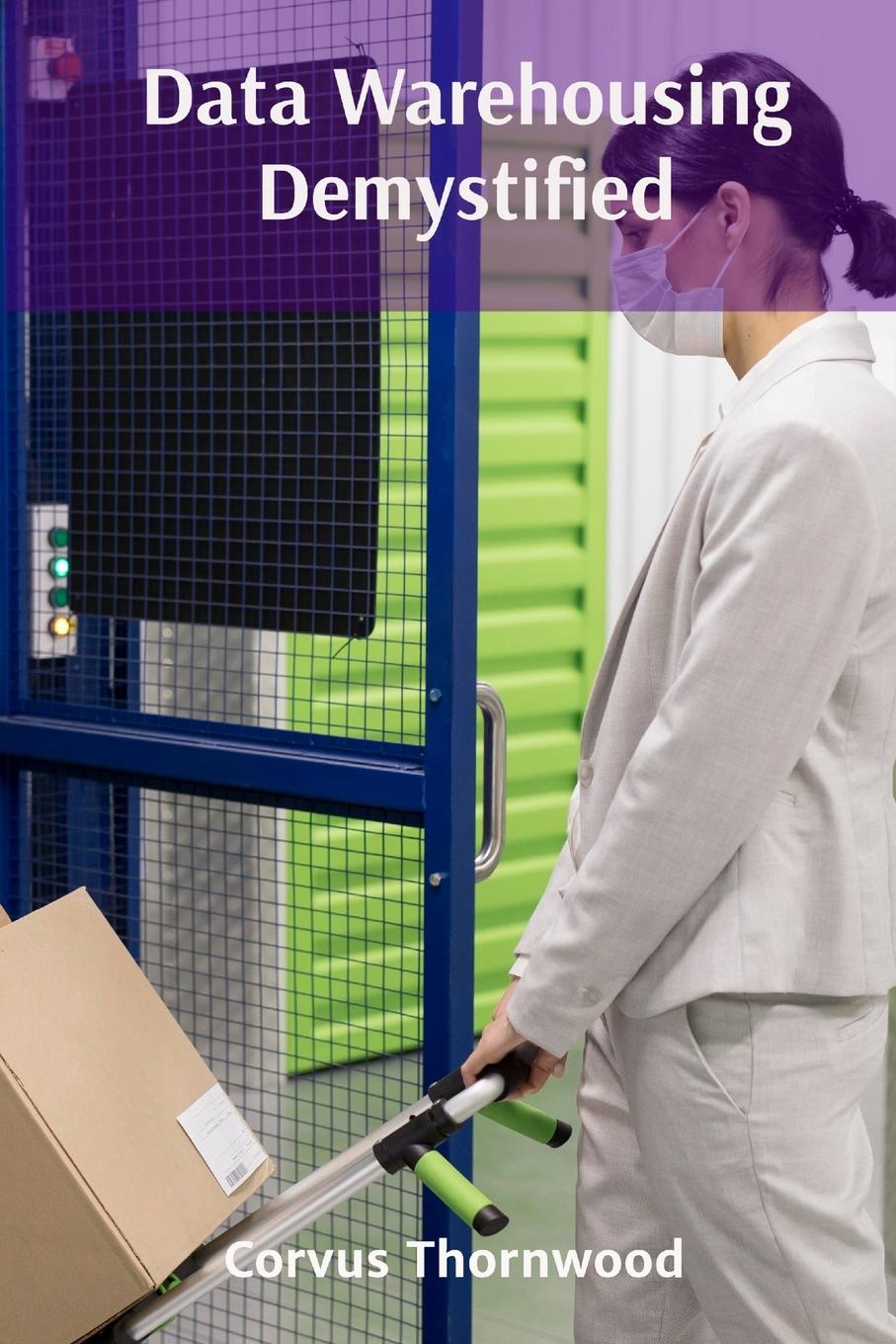 Kniha Data Warehousing Demystified 