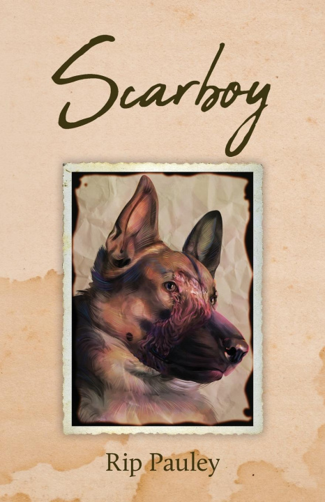 Kniha Scarboy 