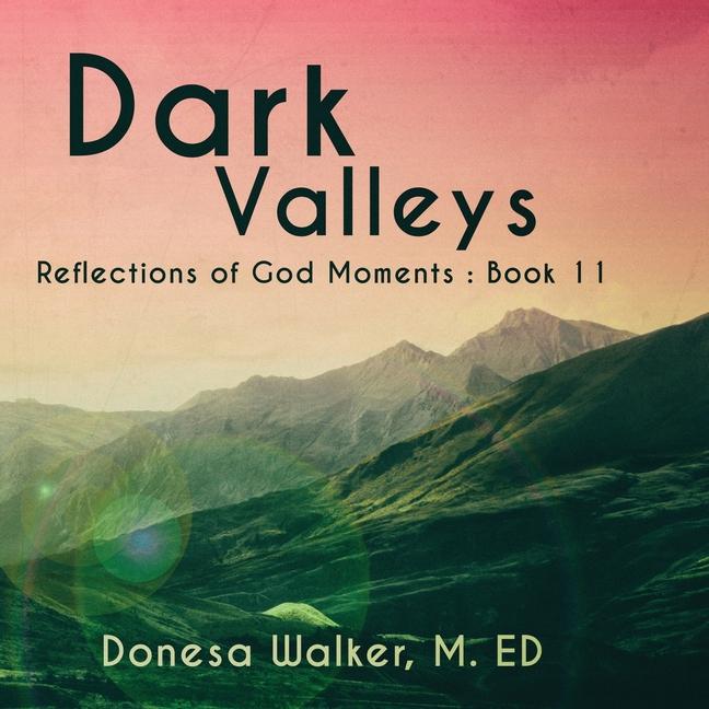 Kniha Dark Valleys Donesa Walker