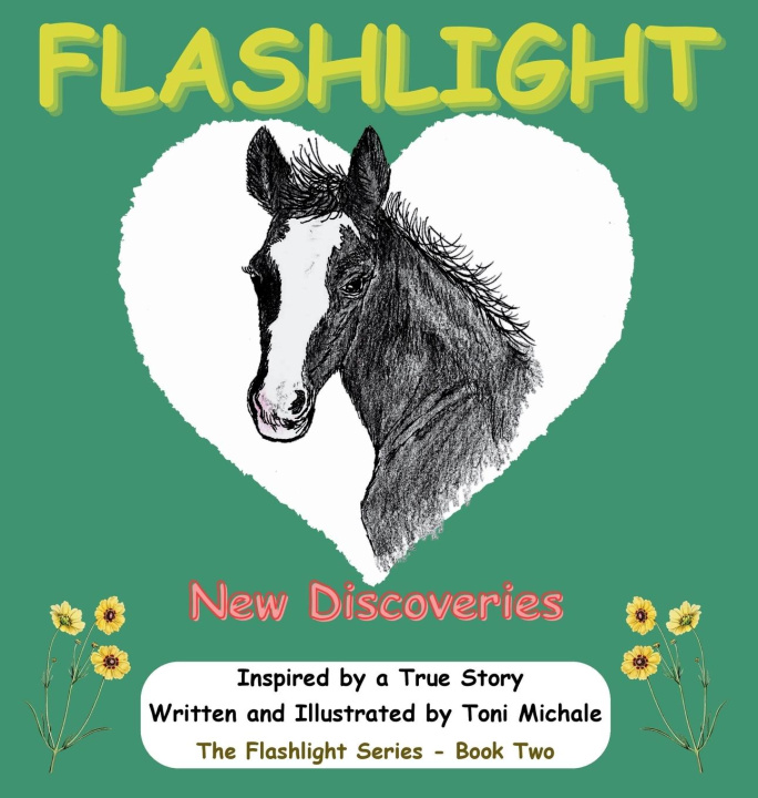 Kniha Flashlight - New Discoveries Toni Michale