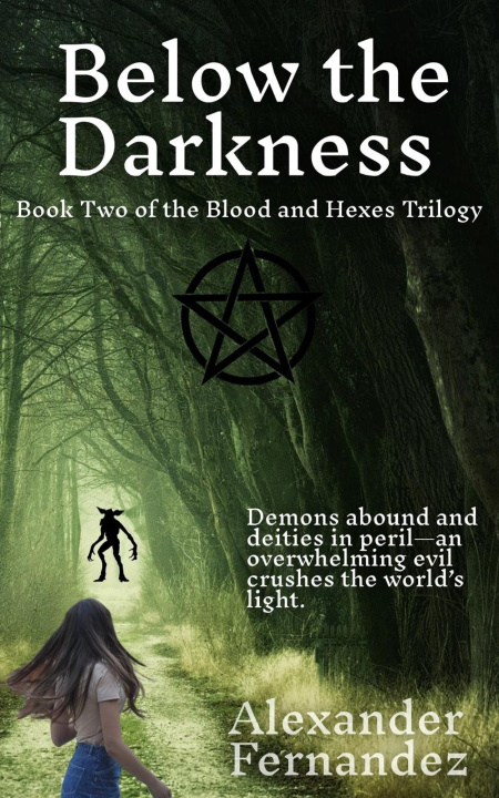 Kniha Below the Darkness Alexander Fernandez