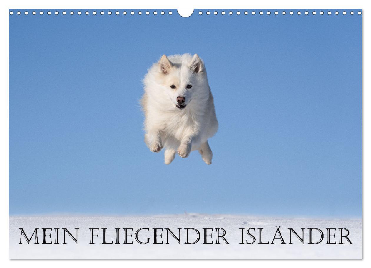 Kalendář/Diář Mein fliegender Isländer (Wandkalender 2026 DIN A3 quer), CALVENDO Monatskalender Calvendo