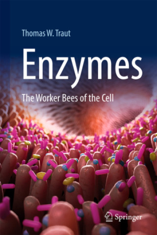 Book Enzymes Thomas W. Traut