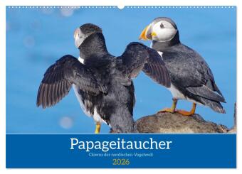 Kalendár/Diár Papageitaucher - Clowns der nordischen Vogelwelt (Wandkalender 2026 DIN A2 quer), CALVENDO Monatskalender Calvendo
