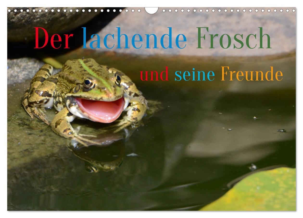 Kalendár/Diár Der lachende Frosch und seine Freunde (Wandkalender 2026 DIN A3 quer), CALVENDO Monatskalender Calvendo