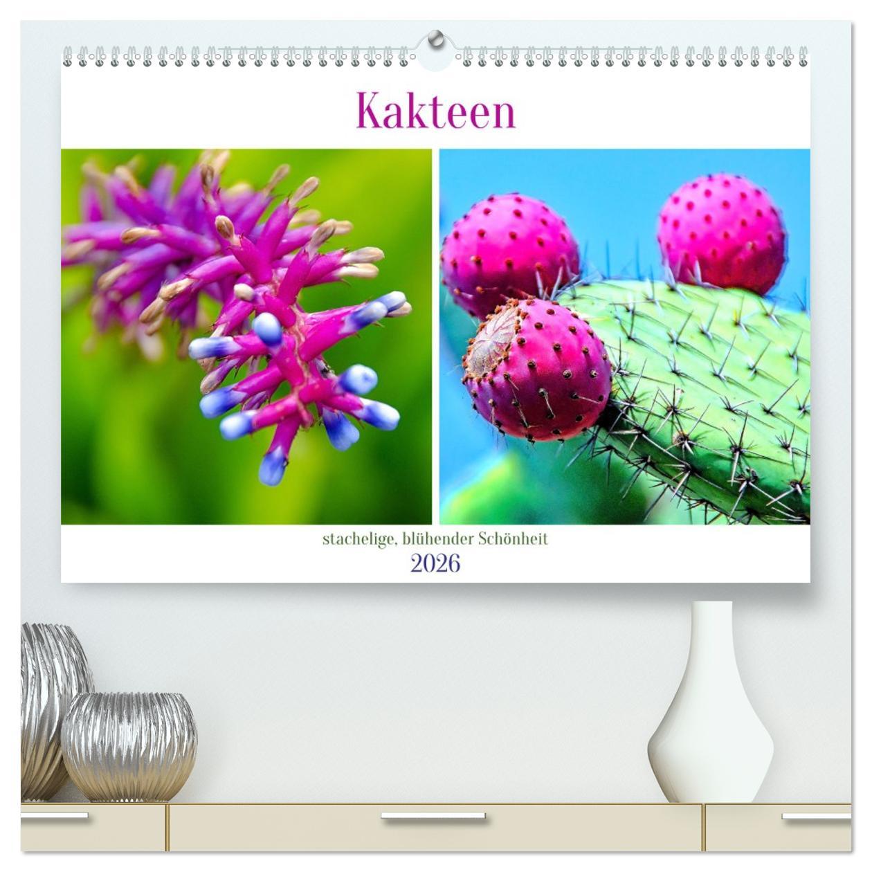 Kalendář/Diář Kakteen - stachelige, blühende Schönheiten (hochwertiger Premium Wandkalender 2026 DIN A2 quer), Kunstdruck in Hochglanz Calvendo