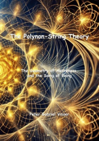 Kniha The Polynon-String Theory Peter Gabriël Visser