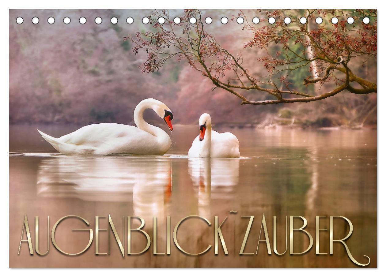 Kalendár/Diár AUGENBLICK ZAUBER (Tischkalender 2026 DIN A5 quer), CALVENDO Monatskalender Calvendo