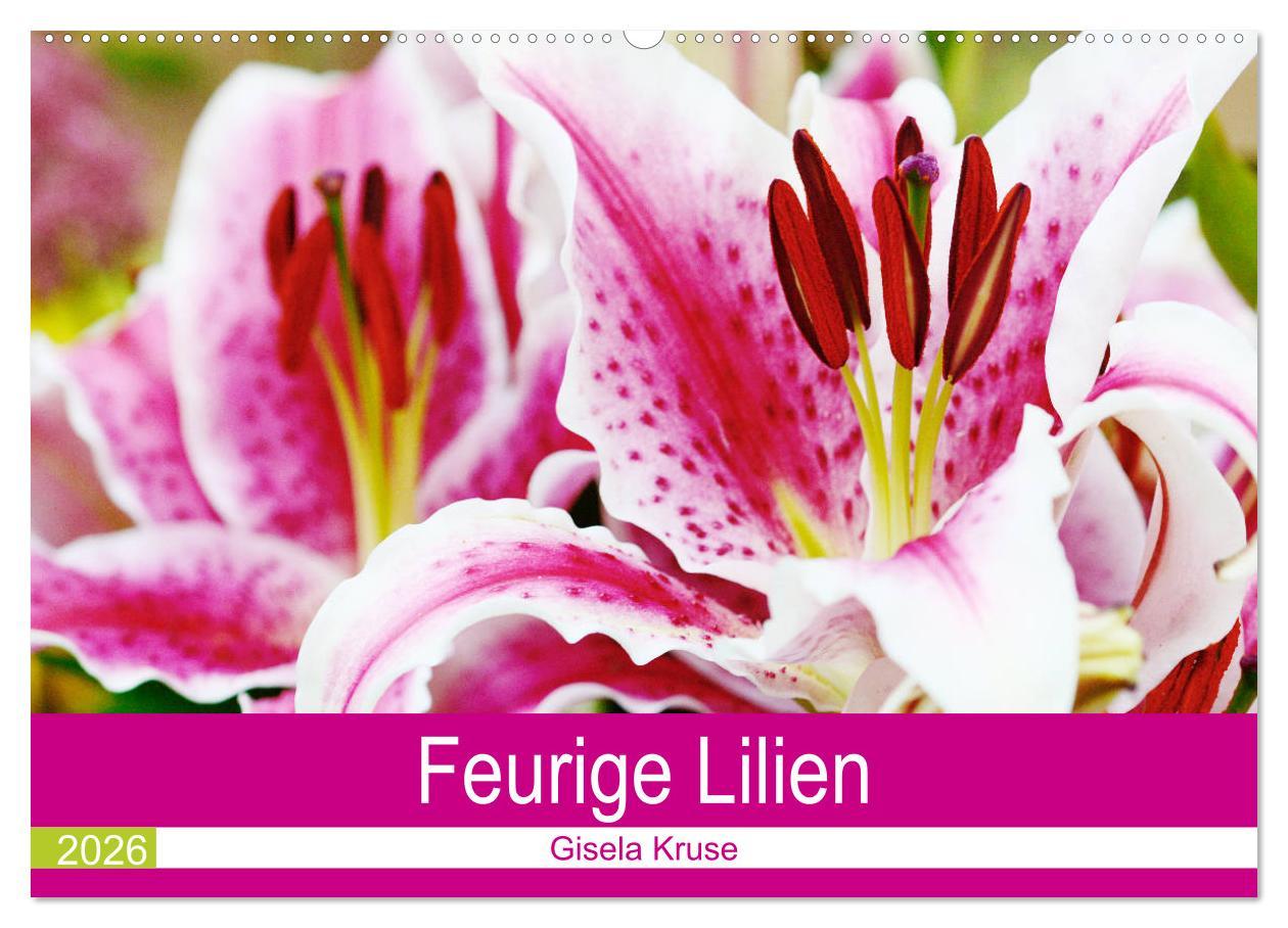 Kalendár/Diár Feurige Lilien (Wandkalender 2026 DIN A2 quer), CALVENDO Monatskalender Calvendo