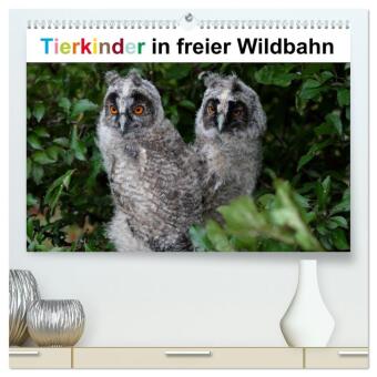Kalendář/Diář Tierkinder in freier Wildbahn (hochwertiger Premium Wandkalender 2026 DIN A2 quer), Kunstdruck in Hochglanz Calvendo