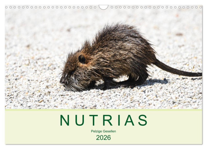 Kalendár/Diár NUTRIAS - Pelzige Gesellen (Wandkalender 2026 DIN A3 quer), CALVENDO Monatskalender Calvendo