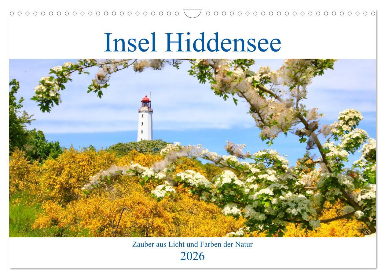 Koledar/Rokovnik Hiddensee mon amour (Wandkalender 2026 DIN A3 quer), CALVENDO Monatskalender Calvendo
