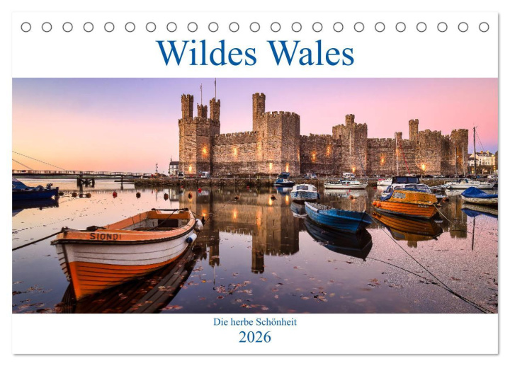 Kalendár/Diár Wildes Wales (Tischkalender 2026 DIN A5 quer), CALVENDO Monatskalender Calvendo