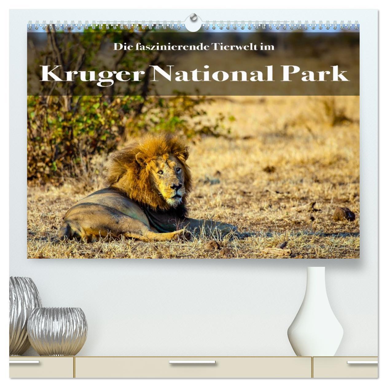 Kalendář/Diář Faszinierende Tierwelt des Kruger National Parks (hochwertiger Premium Wandkalender 2026 DIN A2 quer), Kunstdruck in Hochglanz Calvendo