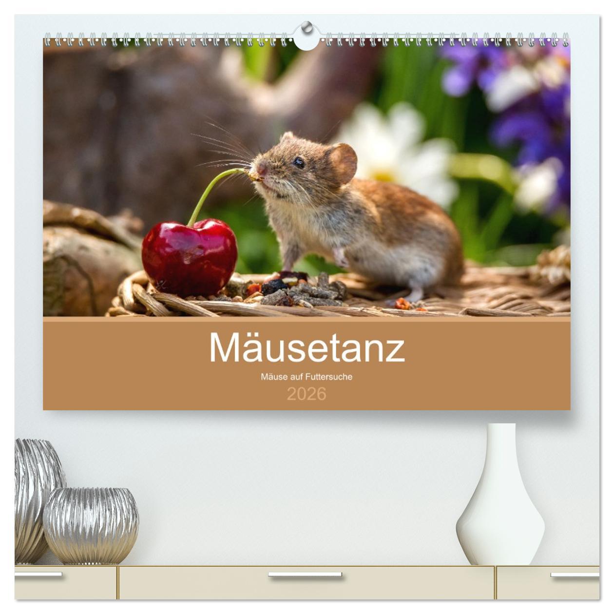 Kalendář/Diář Mäusetanz (hochwertiger Premium Wandkalender 2026 DIN A2 quer), Kunstdruck in Hochglanz Calvendo