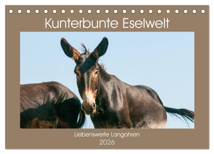 Kalendár/Diár Kunterbunte Eselwelt - Liebenswerte Langohren (Tischkalender 2026 DIN A5 quer), CALVENDO Monatskalender Calvendo