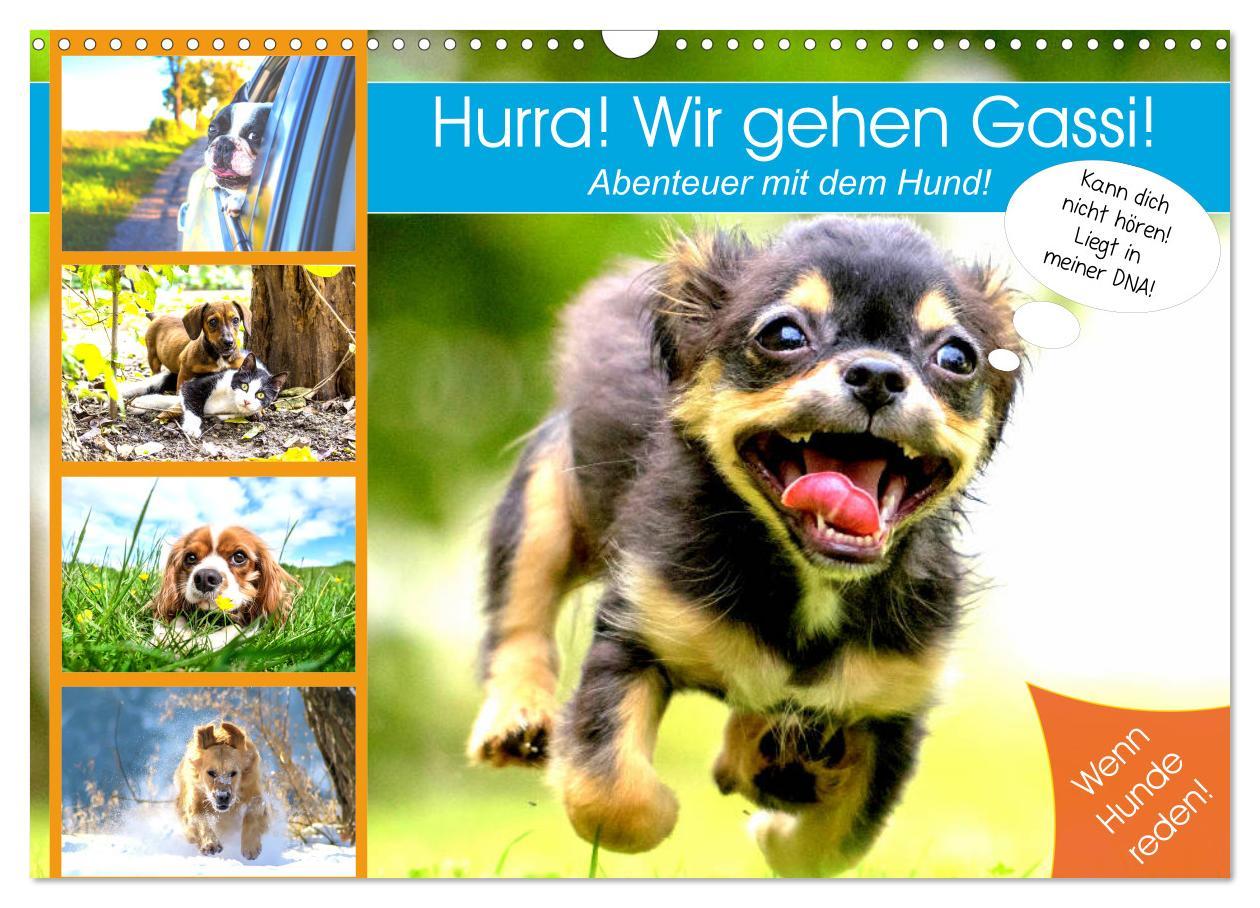 Kalendár/Diár Hurra! Wir gehen Gassi! Abenteuer mit dem Hund! (Wandkalender 2026 DIN A3 quer), CALVENDO Monatskalender Calvendo
